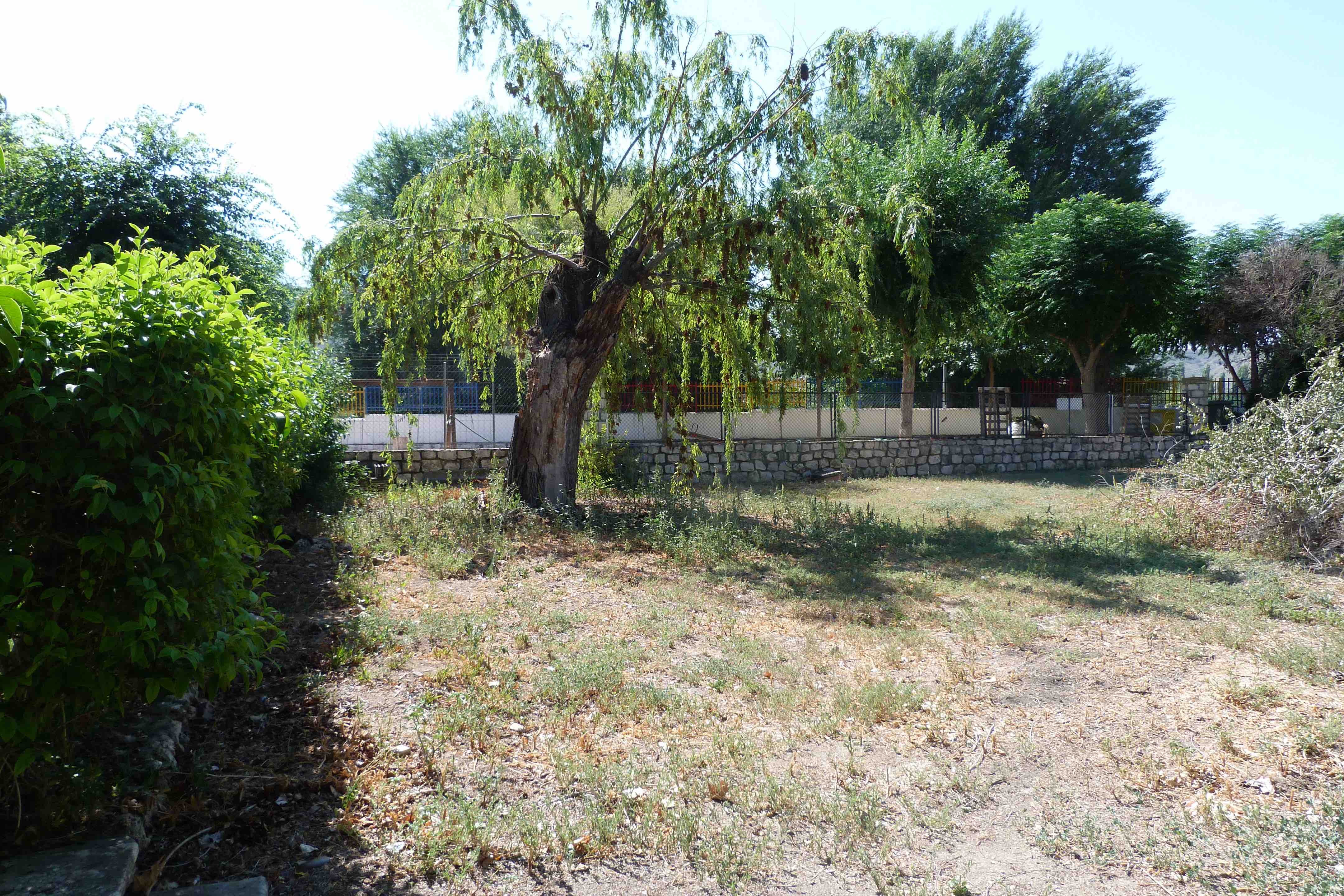 Jardín con sauce llorón